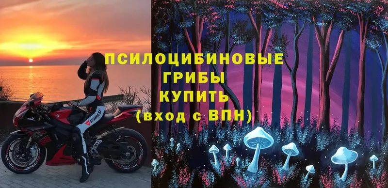 Псилоцибиновые грибы MAGIC MUSHROOMS  ОМГ ОМГ ссылка  Павлово 