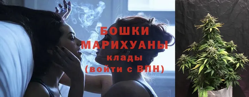 Каннабис SATIVA & INDICA  купить закладку  Павлово 